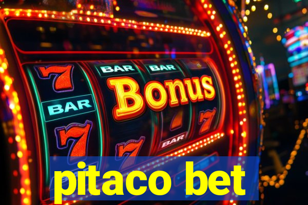 pitaco bet